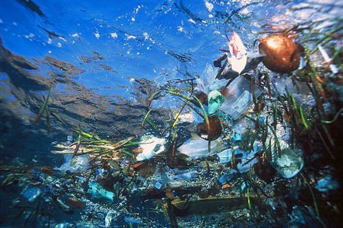 Австралийский режиссер покорит Тихий океан в пластиковой бутылке