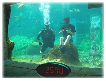 2 кубика Рубика за 76 секунд в аквариуме с акулами: не слабо!
